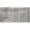 Image 13 : WHITE PEPPER SCHNAPS
