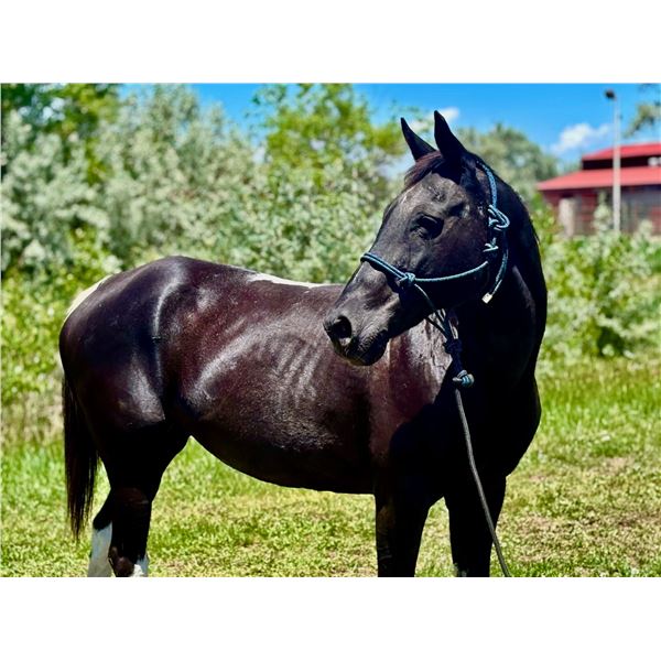 ABIGAIL