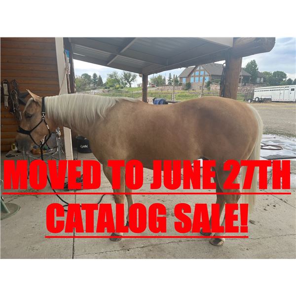 SB EL DISCIPULO - MOVED TO JUNE 27TH SALE!