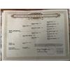 Image 2 : SB EL DISCIPULO - MOVED TO JUNE 27TH SALE!