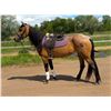 Image 3 : FLICKA