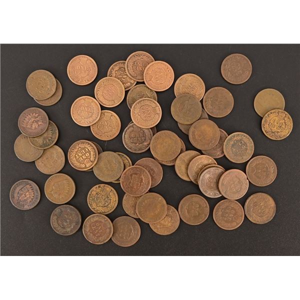 Collection of (56) Indian Head Pennies