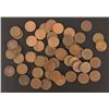 Image 1 : Collection of (56) Indian Head Pennies