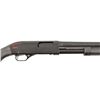 Image 3 : Winchester Super-X Tactical Pump 12GA Shotgun