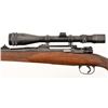 Image 13 : Custom Mauser Rifle in .458 x 2 Caliber