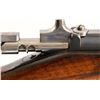 Image 15 : 1886 Steyr Kropatschek Rifle 8x60R Cal.