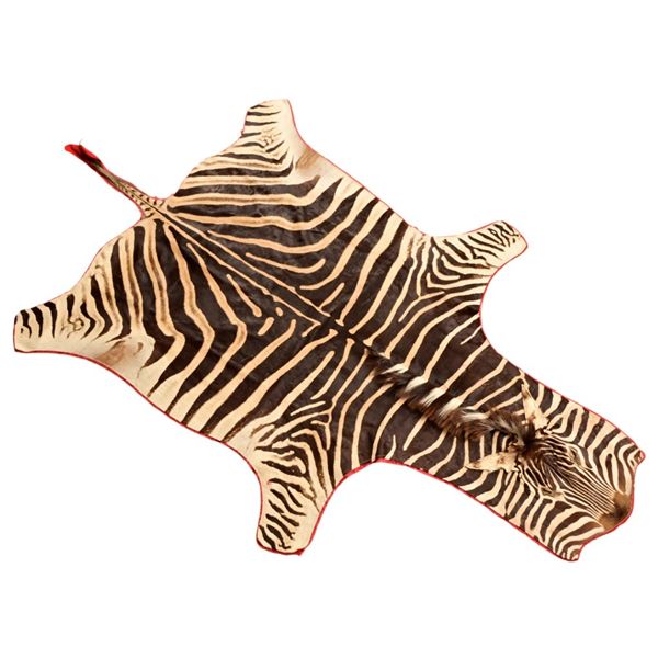 Zebra Hide Rug