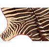 Image 4 : Zebra Hide Rug