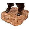 Image 3 : Buffalo 1/2 Body Taxidermy Mount