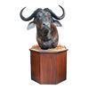 Image 1 : Cape Buffalo Taxidermy Shoulder Mount Custom Stand