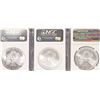 Image 4 : Collection (3) Silver American Eagles NGC Graded