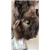 Image 4 : TAXIDERMY, FULL BODY MOUNT MUSK OX