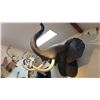Image 2 : VERY LARGE SHOULDER MOUNT TAXIDERMY ELEPHANT WITH REPRODUCTION TUSKS WITH PAPERWORK