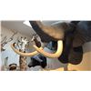Image 3 : VERY LARGE SHOULDER MOUNT TAXIDERMY ELEPHANT WITH REPRODUCTION TUSKS WITH PAPERWORK