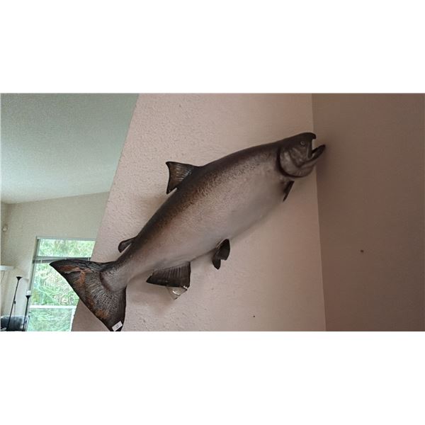 TAXIDERMY SALMON