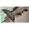 Image 3 : TAXIDERMY SALMON
