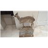 Image 1 : TAXIDERMY FULL MOUNT OF A  DIK DIK