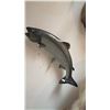 Image 1 : TAXIDERMY SALMON