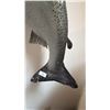 Image 2 : TAXIDERMY SALMON
