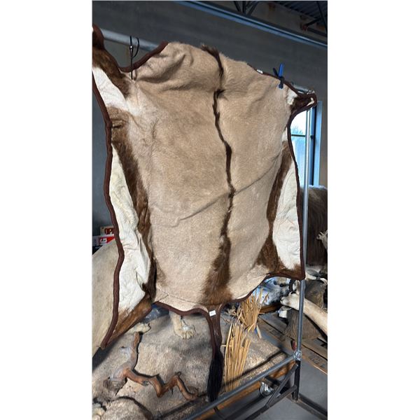 TAXIDERMIED ORYX RUG