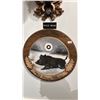 Image 2 : TAXIDERMIED WILD BOAR HEAD MOUNT