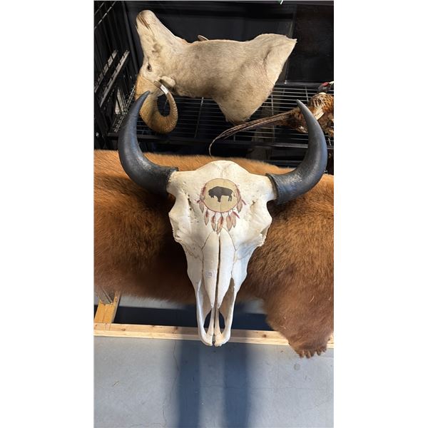 PAINTED BULL SKULL
