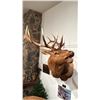 Image 1 : TAXIDERMIED ELK HEAD MOUNT