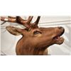 Image 3 : TAXIDERMIED ELK HEAD MOUNT