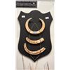 Image 1 : SET OF WILD BOARD TUSKS