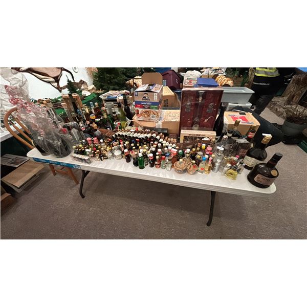 LARGE LIQUOR BOTTLE COLLECTION