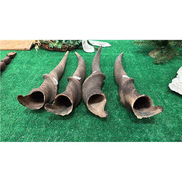 SET OF 4 ELAND HORNS