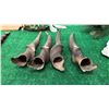 Image 1 : SET OF 4 ELAND HORNS