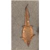 Image 1 : TAXIDERMIED LIZARD RUG