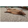 Image 2 : TAXIDERMIED LIZARD RUG