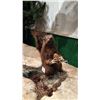 Image 1 : TAXIDERMIED FULL BODY MOUNTED BROWN SQUIRREL