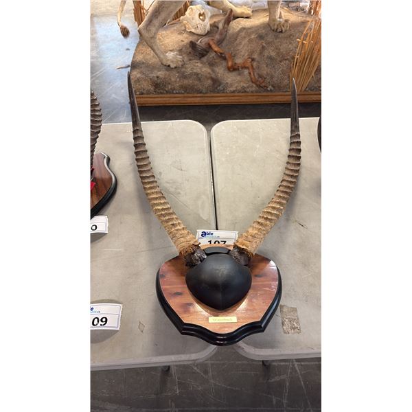 WATERBUCK RACK MOUNTED