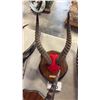Image 1 : WALLER'S GAZELLE RACK MOUNTED