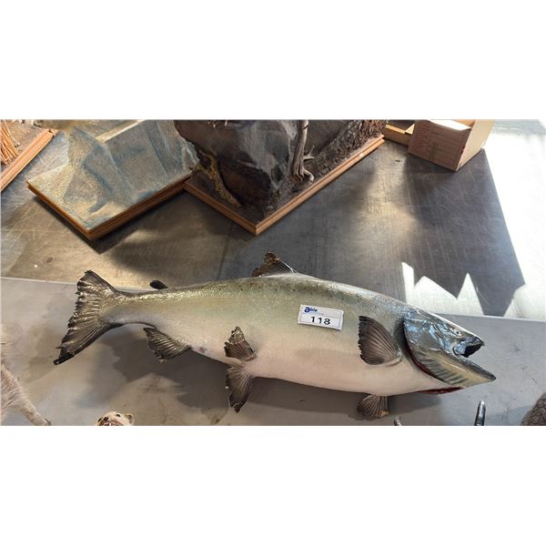 SALMON WITH CONDITIONS ISSUE