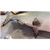 Image 3 : SALMON WITH CONDITIONS ISSUE