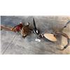 Image 1 : 4 ASSORTED TAXIDERMY BIRD DISPLAYS