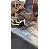 Image 1 : MAGPIE TAXIDERMY DISPLAY