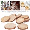 Image 1 : Pack of 20 Unfinished Wood Slices with Tree Bark for Crafts