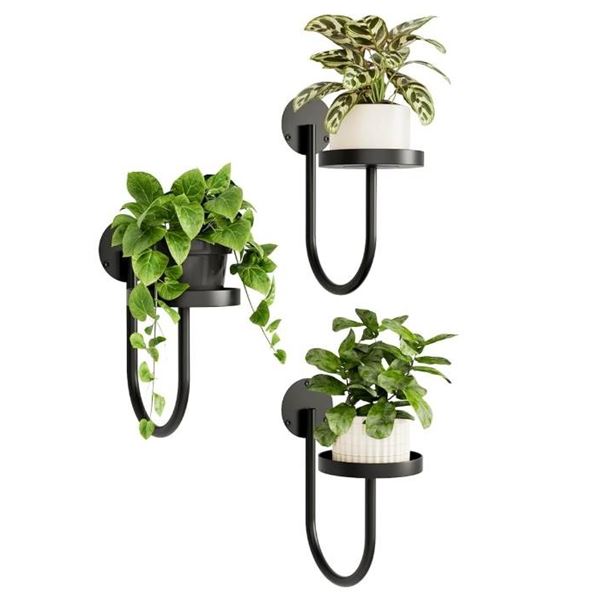 Bamworld Wall Plant Holder Wall Planters for Indoor Plants with Black Finish Set of 3