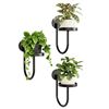 Image 1 : Bamworld Wall Plant Holder Wall Planters for Indoor Plants with Black Finish Set of 3