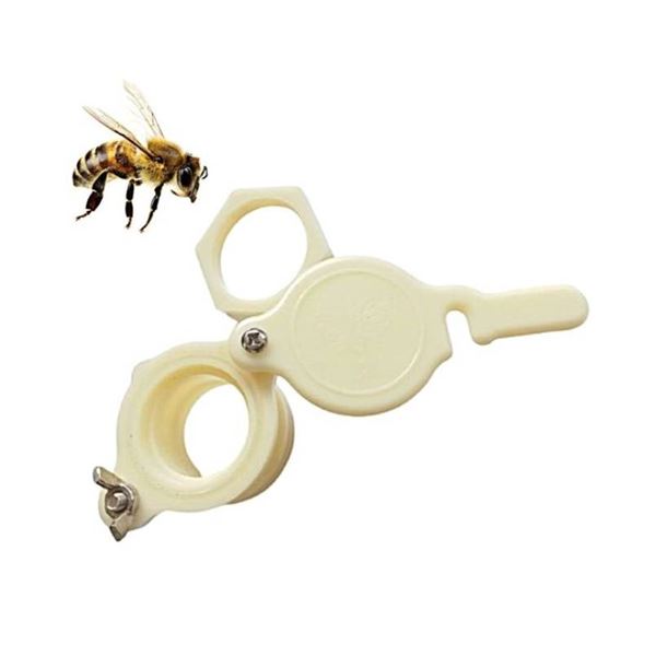 Honey Gate Lot of 6 for Beekeeping Applications