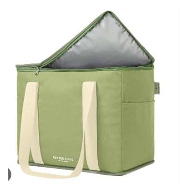 Foldable Green Insulated Tote Bag with Beige Handles by Nook Theory