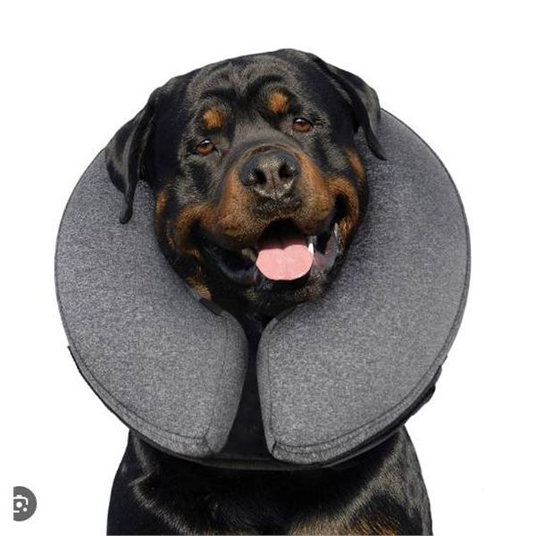Fairwin Size M Pet Recovery Collar