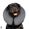 Image 1 : Fairwin Size M Pet Recovery Collar