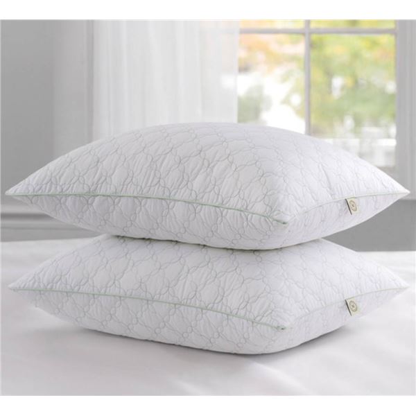 Martha Stewart Trellis Bloom Quilted Pillow 2 Pack Queen