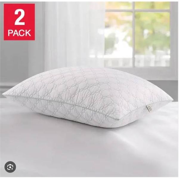 Lot of 2 Queen Size Quilted Pillow
